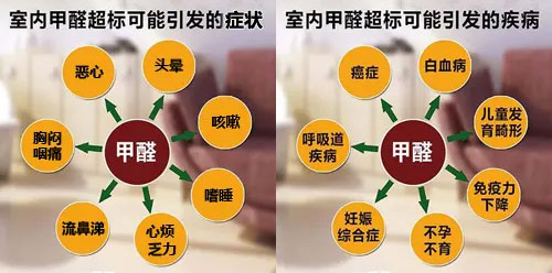 擔心家裏甲醛超標，教您一招，安安心心住新家！